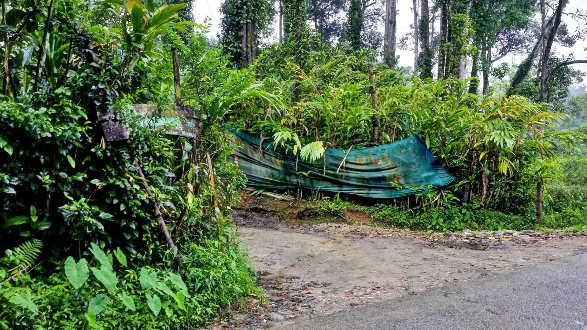 Super Collection O Kunchithanny Road Munnar Formerly Indeevaram Resort Anachal 3*,  India