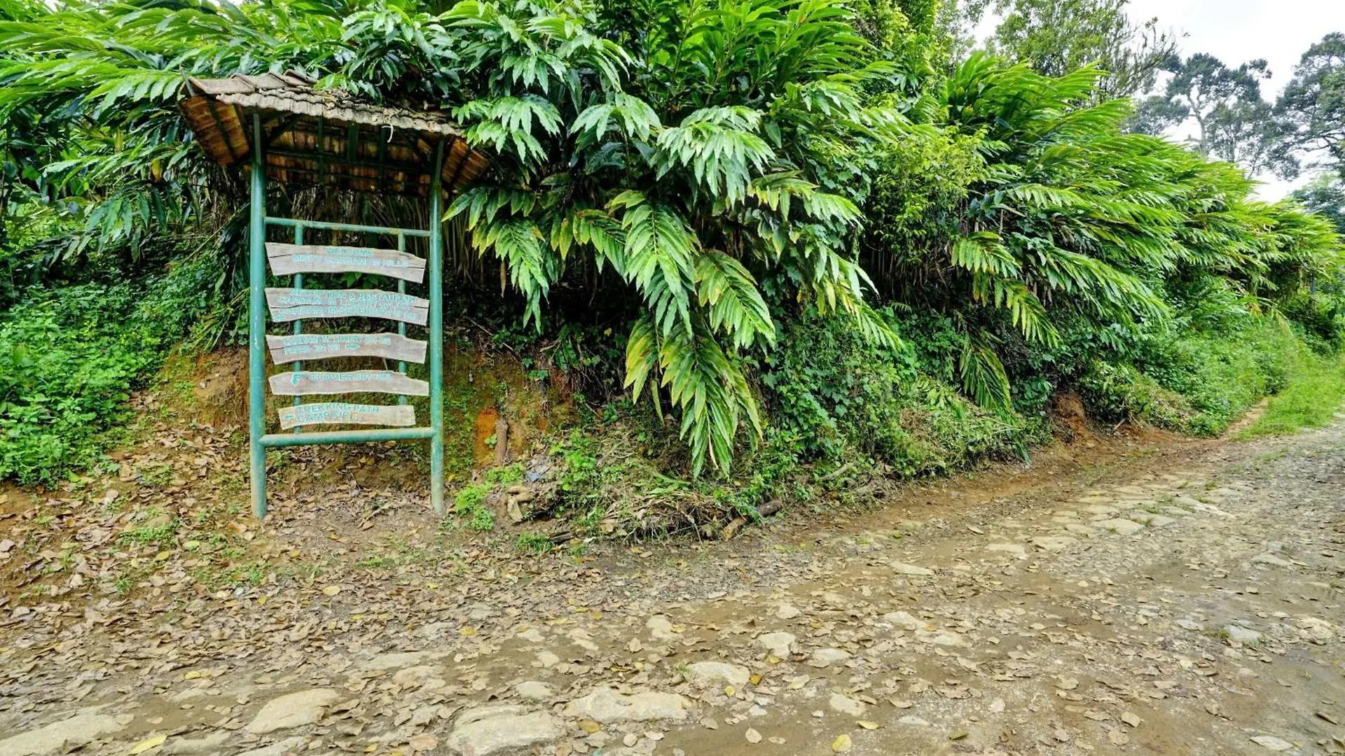 Super Collection O Kunchithanny Road Munnar Formerly Indeevaram Resort Anachal 酒店